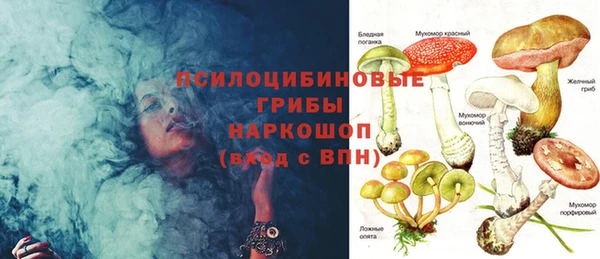 стаф Алексеевка